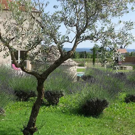 Les Jardins De Bouteille * Manosque